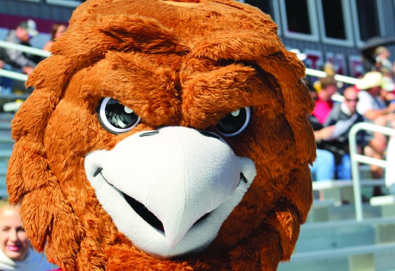 The Shawano Community High School Hawk mascot was roaming through the stands during Shawano’s homecoming football game against Fox Valley Lutheran. Unfortunately, the Foxes outran the Hawks en route to a 49-14 win. (Kevin Passon | NEW Media)